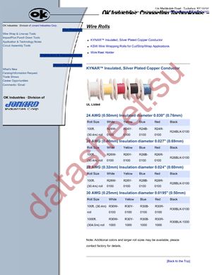 R24W-0100 datasheet  